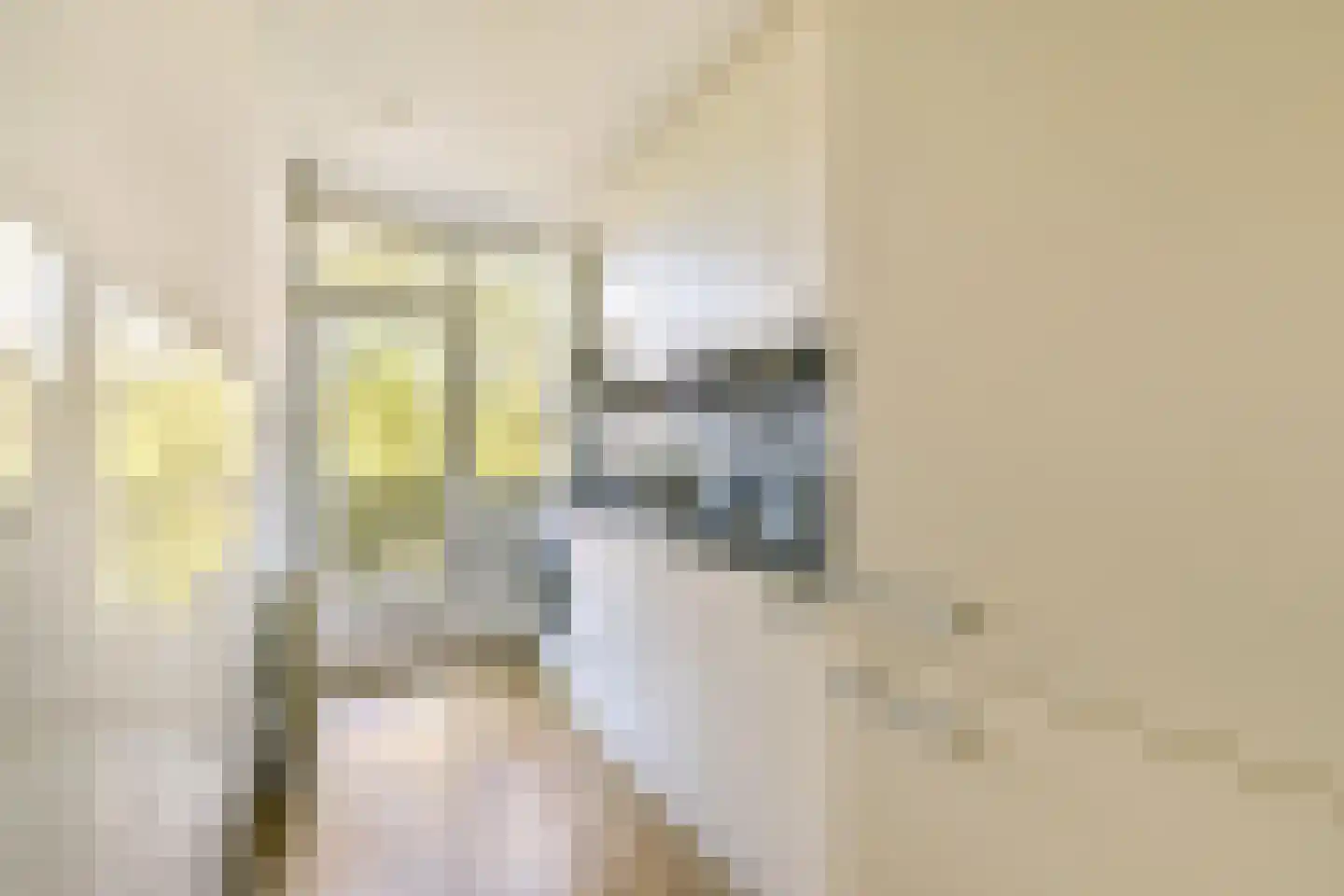 Koxhorn 33 3 Amsterdam thumbnail 17