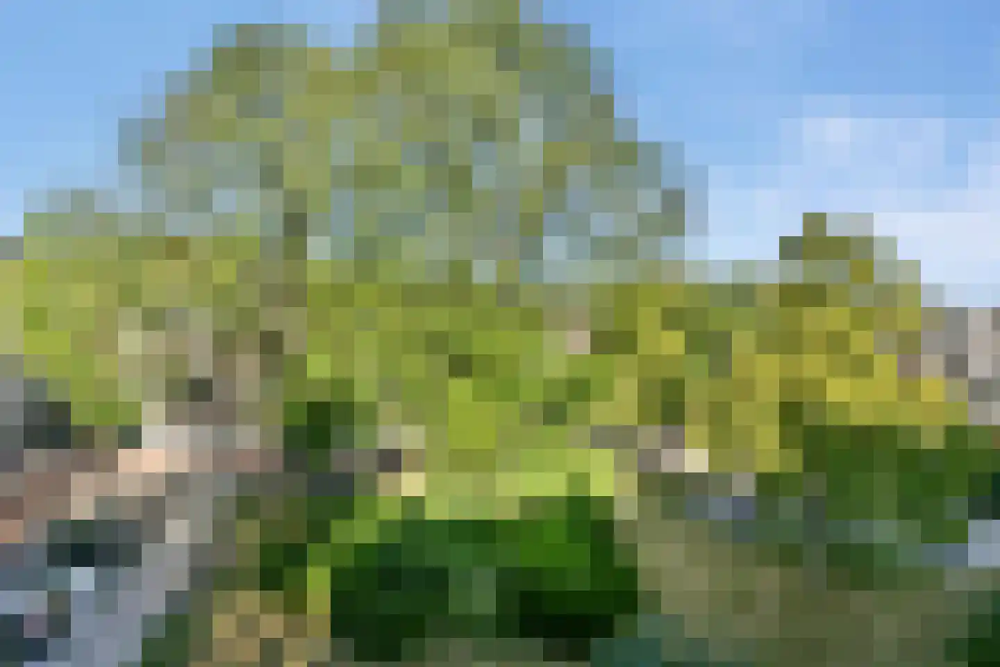 Koxhorn 33 3 Amsterdam thumbnail 24