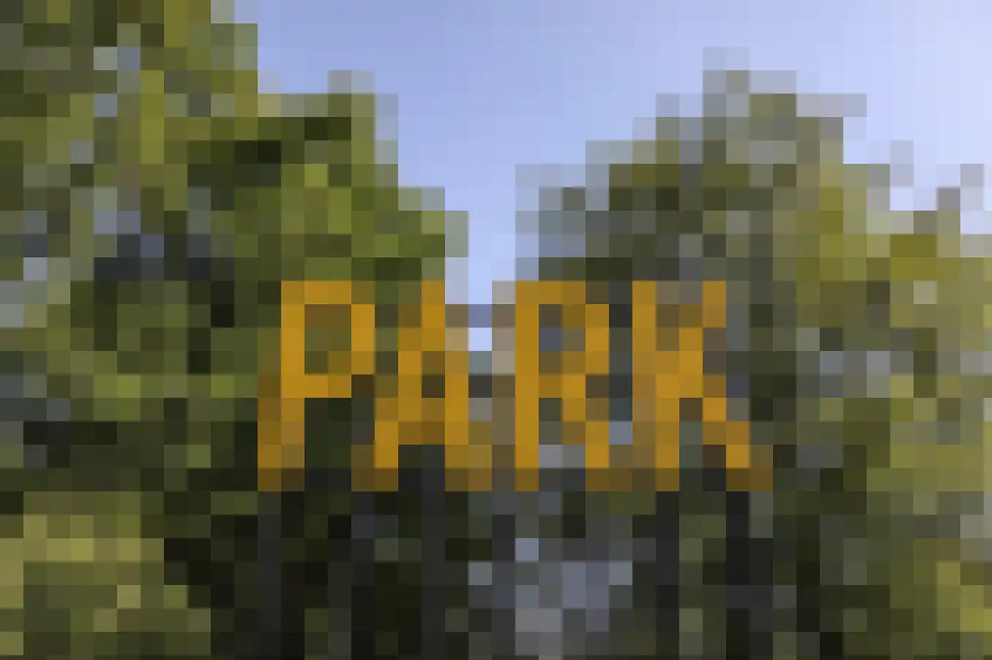 Koxhorn 33 3 Amsterdam thumbnail 31