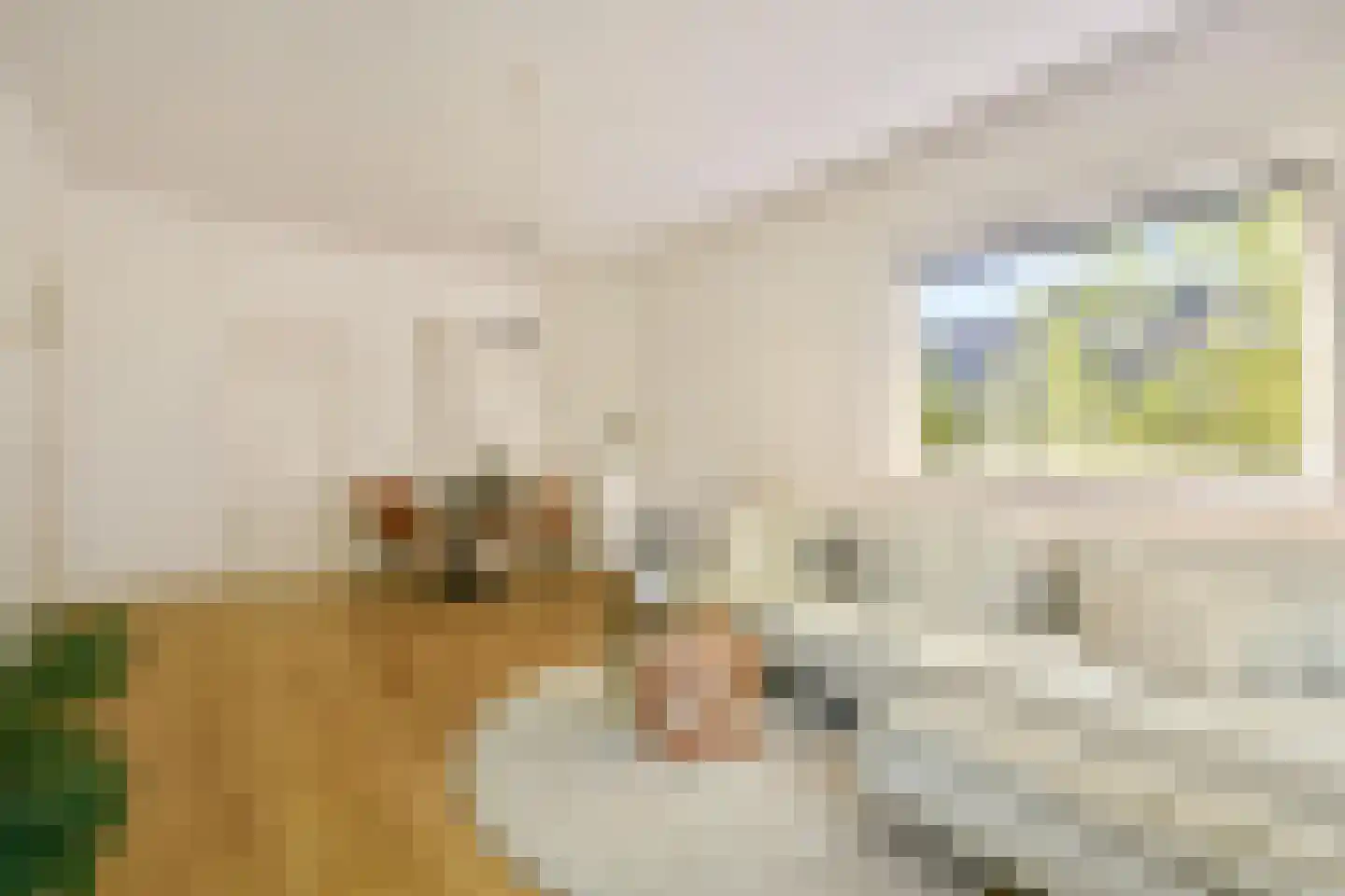 Koxhorn 33 3 Amsterdam thumbnail 4
