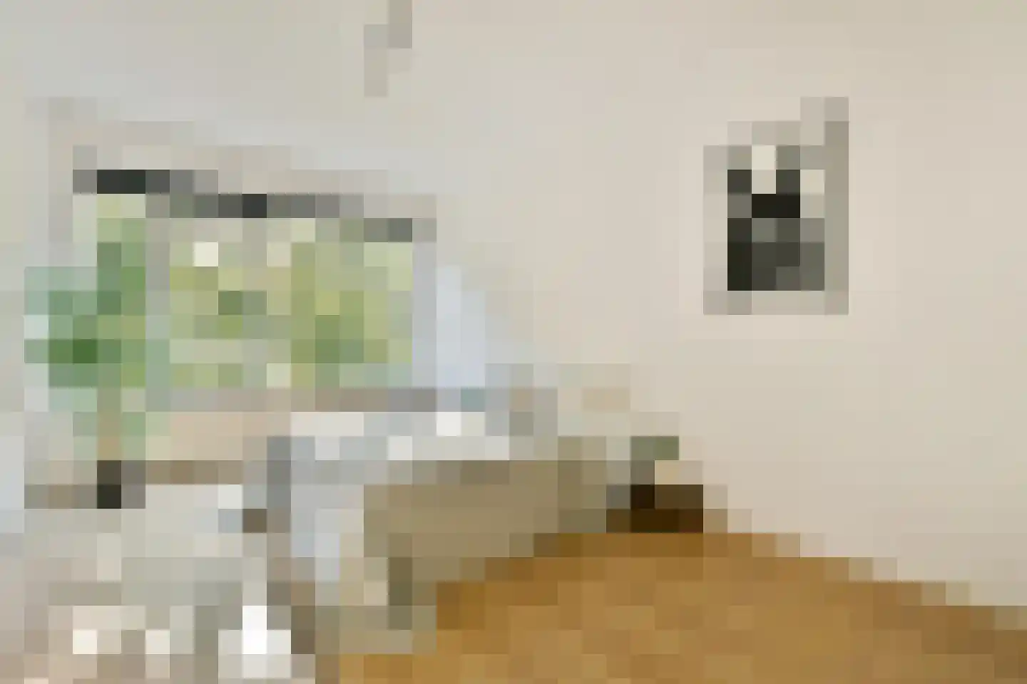 Koxhorn 33 3 Amsterdam thumbnail 7