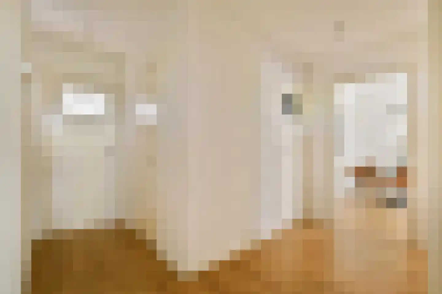 Koxhorn 33 3 Amsterdam thumbnail 8