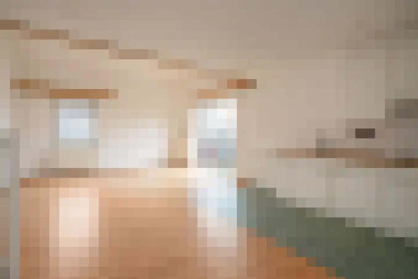 Koxwater 33 Den Haag thumbnail 4