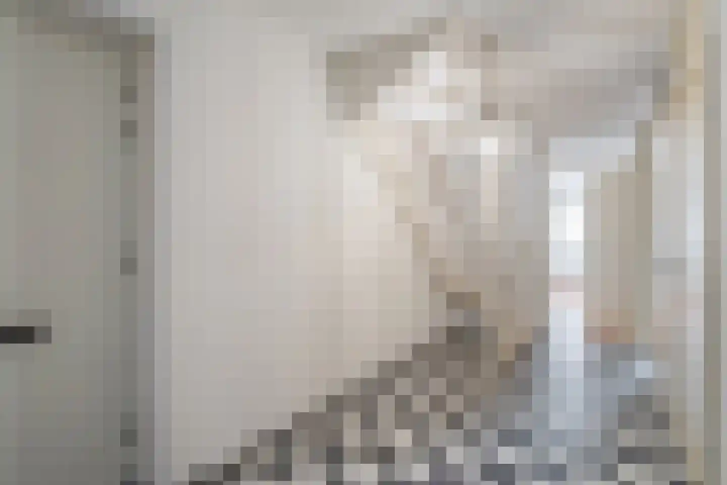 Koxwater 33 Den Haag thumbnail 5