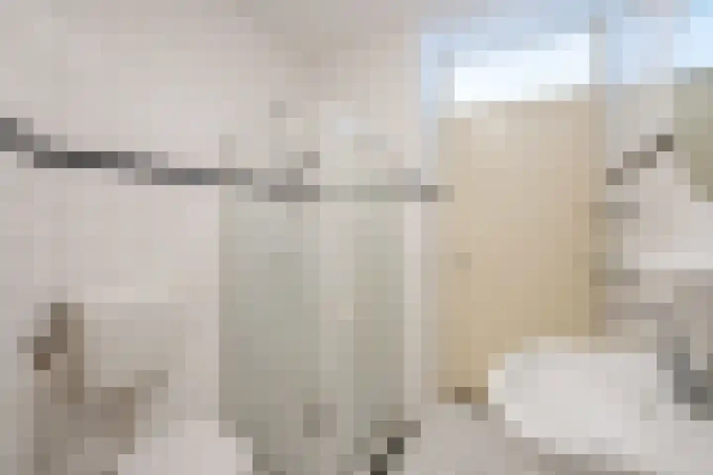 Koxwater 33 Den Haag thumbnail 8