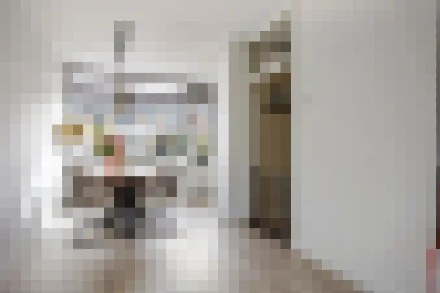 Kozakkenberg 24 Zoetermeer thumbnail 11