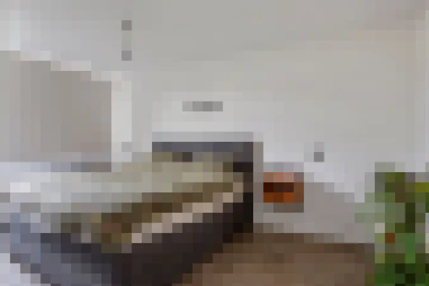 Kozakkenberg 24 Zoetermeer thumbnail 15