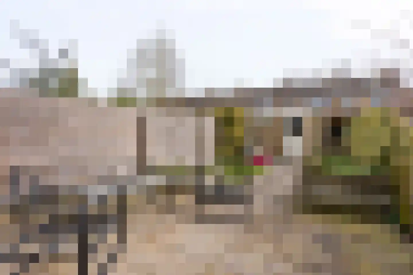 Kozakkenberg 24 Zoetermeer thumbnail 5