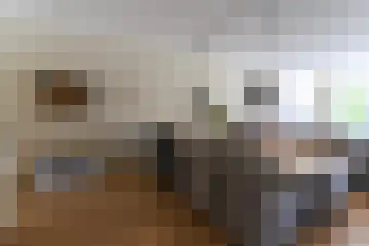 Kozakkenbergerhout 3 Harderwijk thumbnail 12