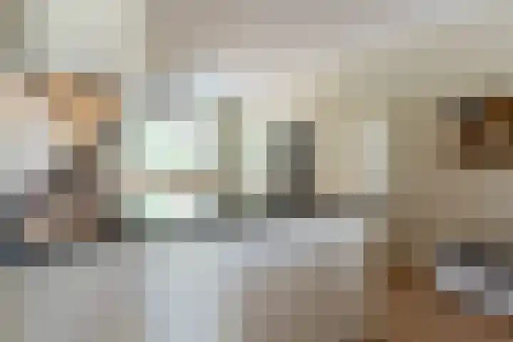 Kozakkenbergerhout 3 Harderwijk thumbnail 15