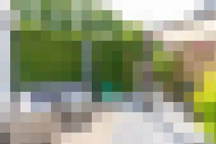 Kozakkenbergerhout 3 Harderwijk thumbnail 30