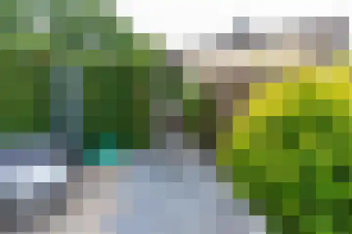 Kozakkenbergerhout 3 Harderwijk thumbnail 31