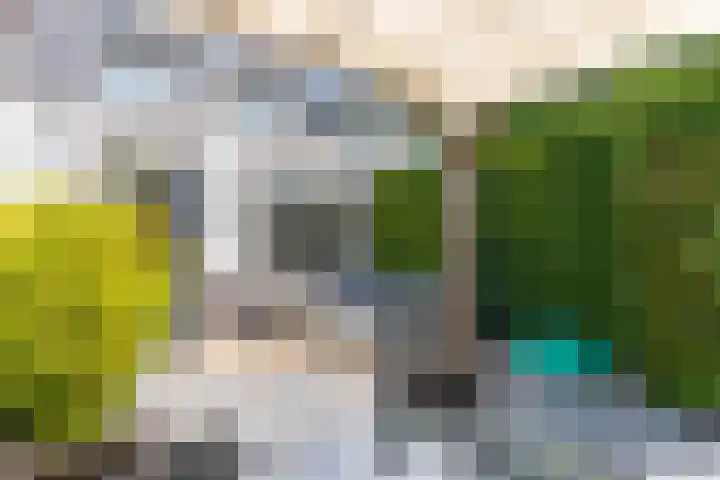 Kozakkenbergerhout 3 Harderwijk thumbnail 32