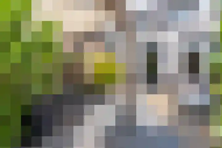 Kozakkenbergerhout 3 Harderwijk thumbnail 33