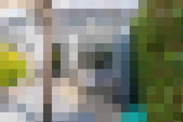 Kozakkenbergerhout 3 Harderwijk thumbnail 34