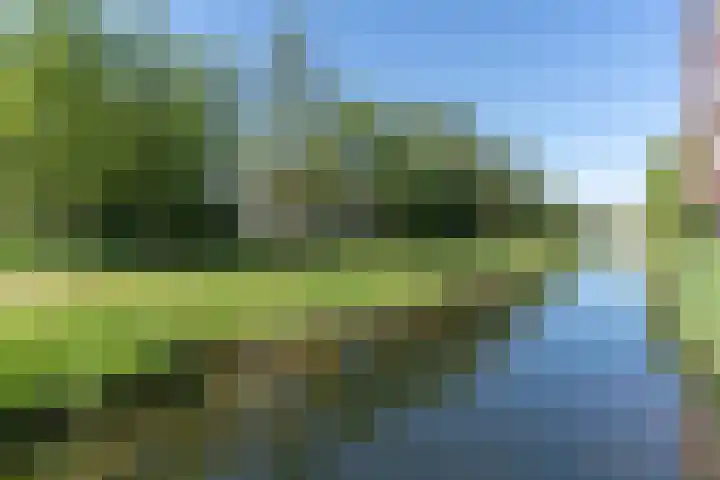 Kozakkenbergerhout 3 Harderwijk thumbnail 36