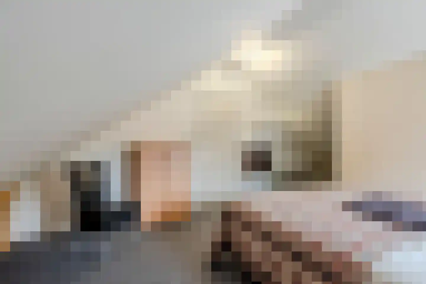 Kozakkenkamp 7 Ermelo thumbnail 42