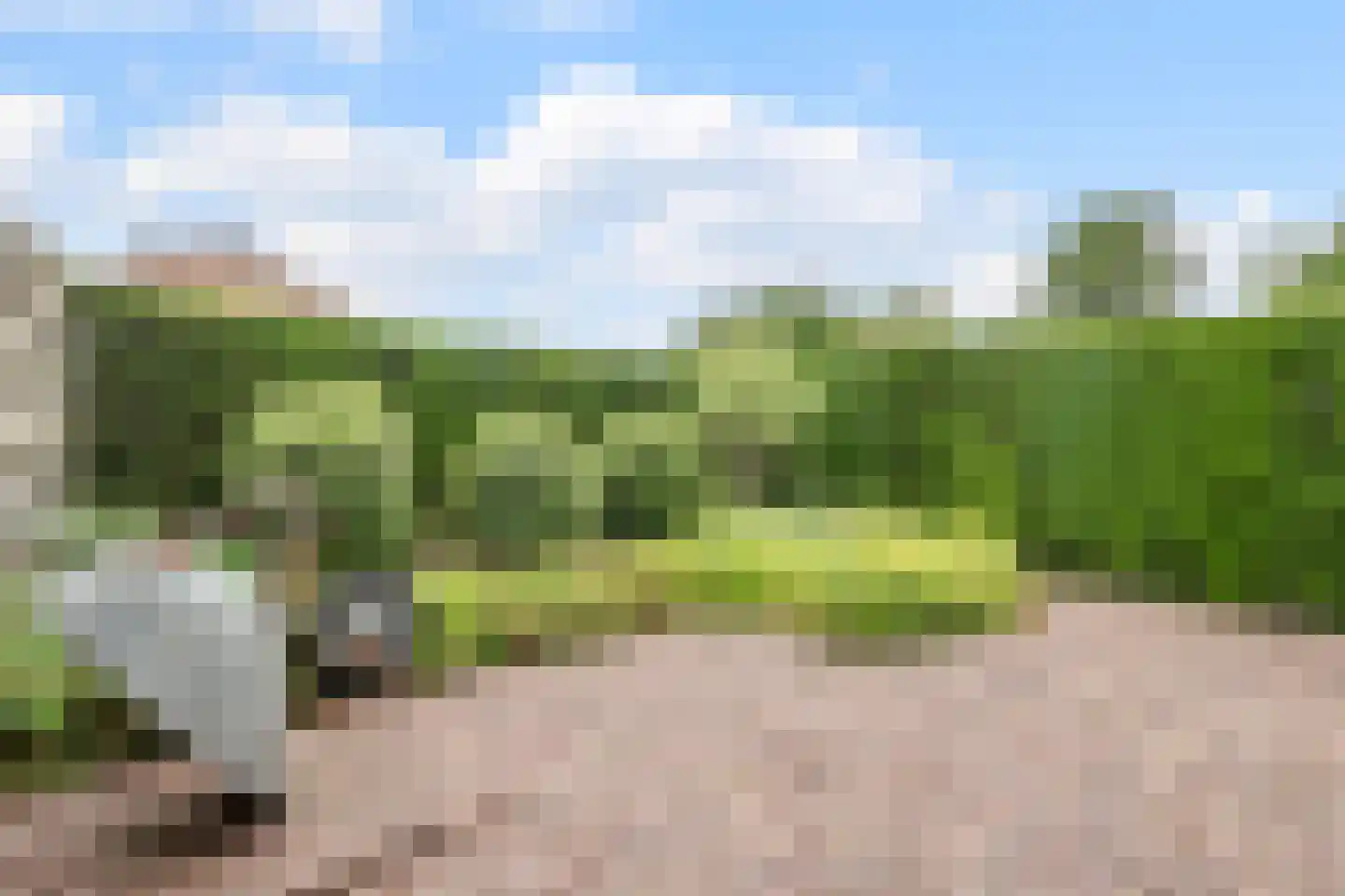 Kozakkenkamp 7 Ermelo thumbnail 47