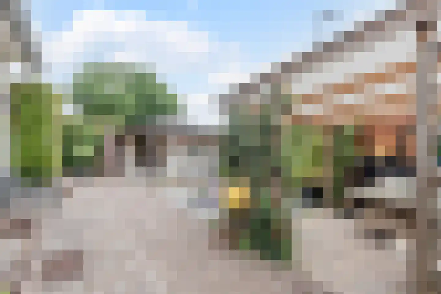 Kozakkenkamp 7 Ermelo thumbnail 50