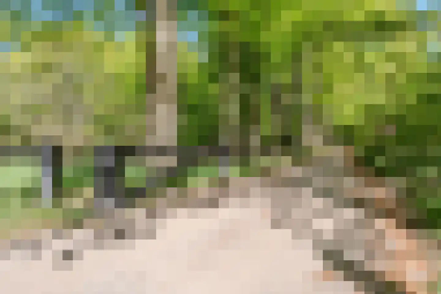 Kozakkenkamp 7 Ermelo thumbnail 60