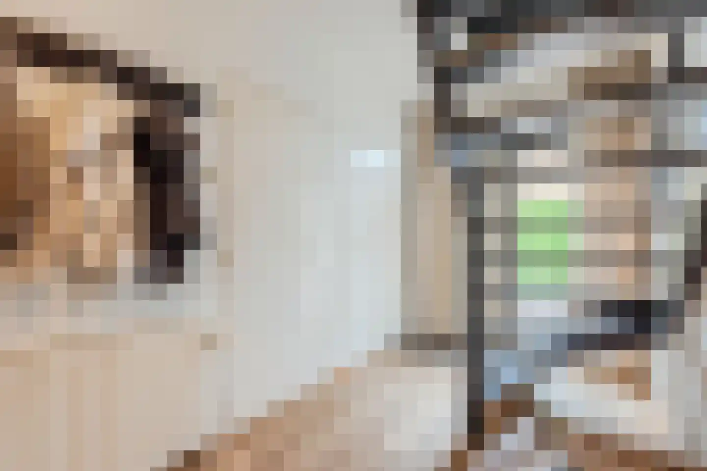 Kozakkenkamp 7 Ermelo thumbnail 7