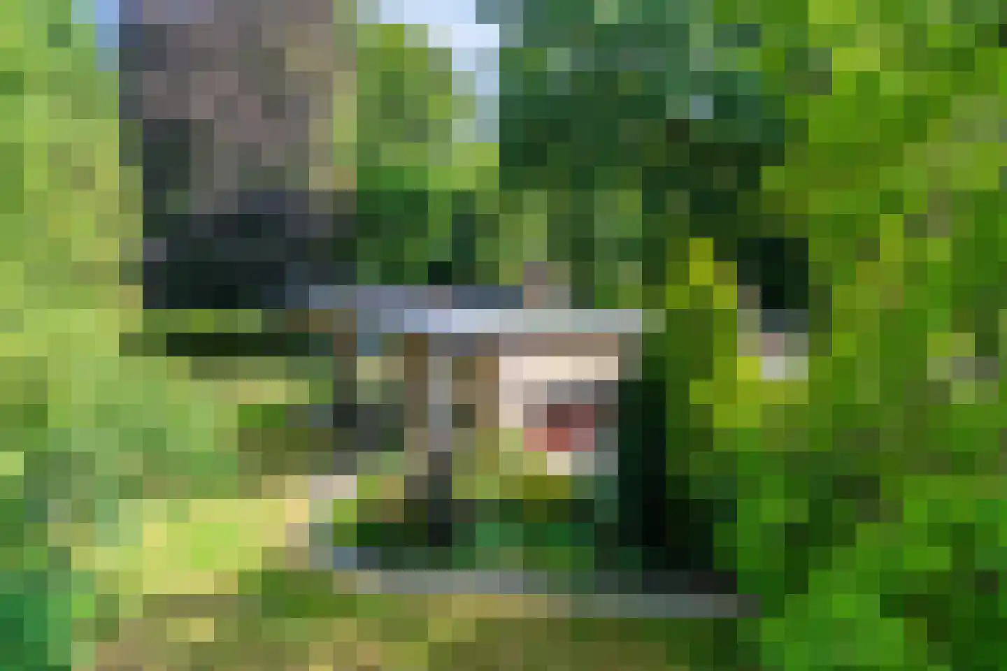 Kozakkenlaan 11 Warnsveld