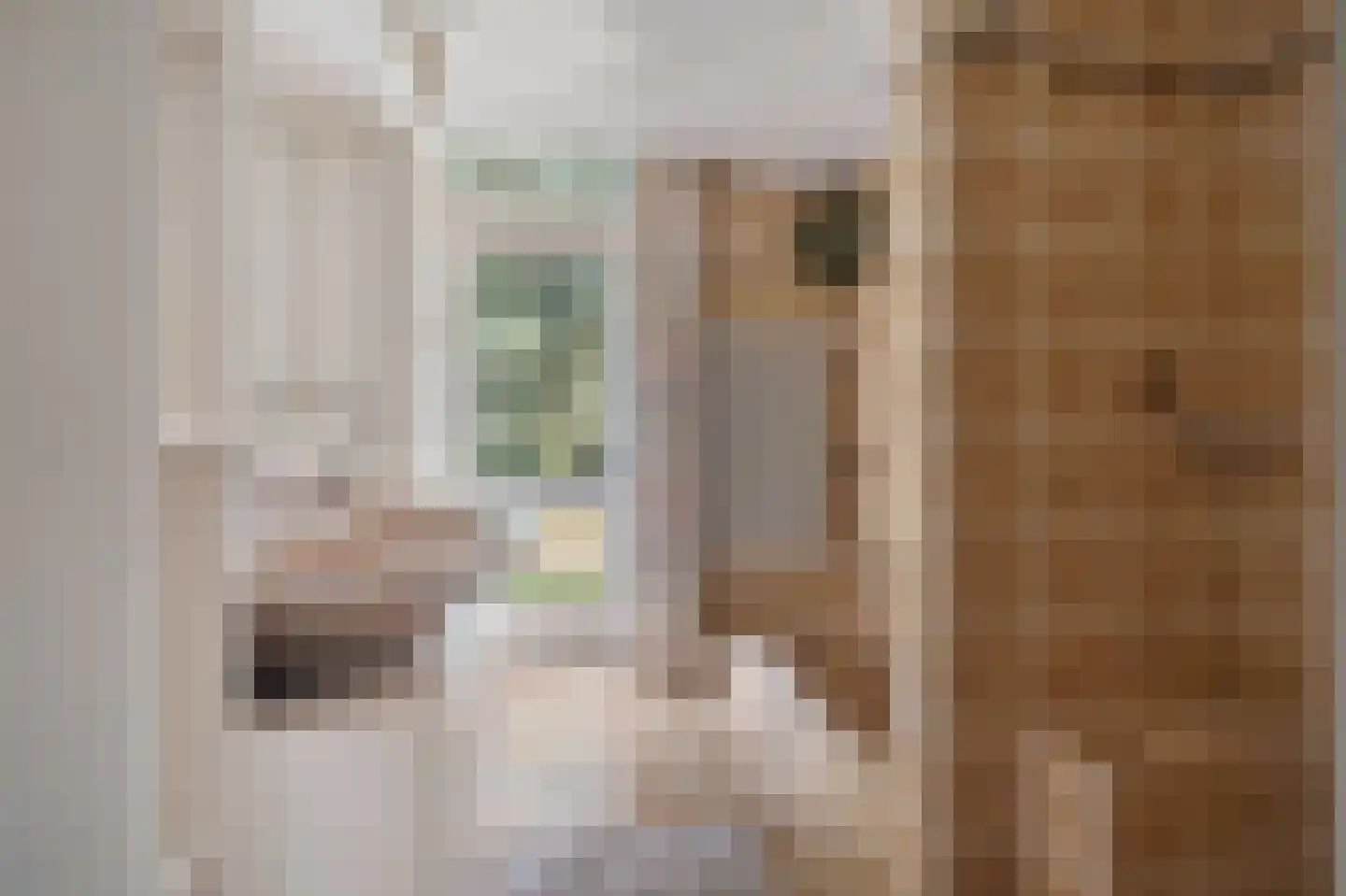 Kozakkenlaan 11 Warnsveld thumbnail 38
