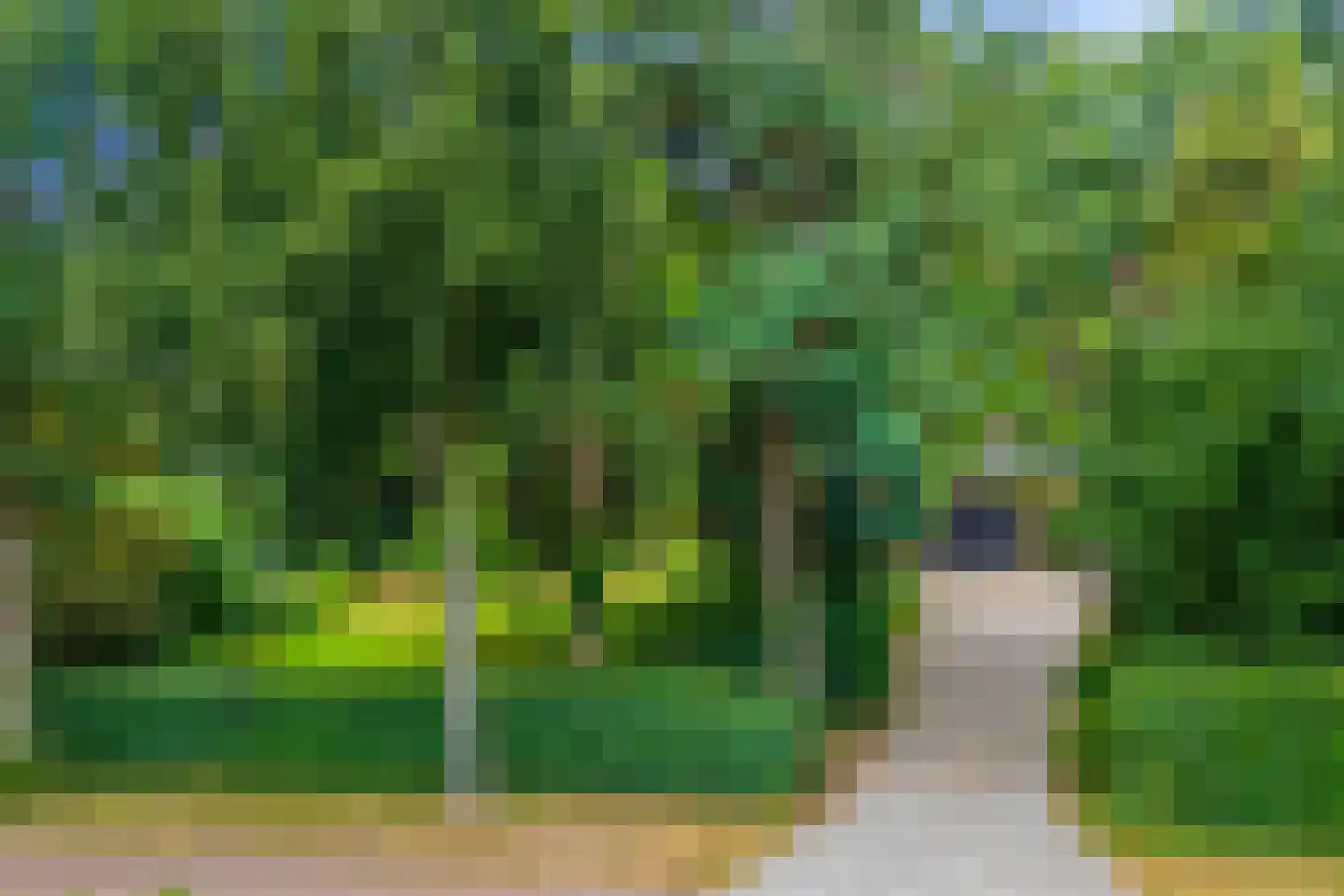 Kozakkenlaan 11 Warnsveld thumbnail 4