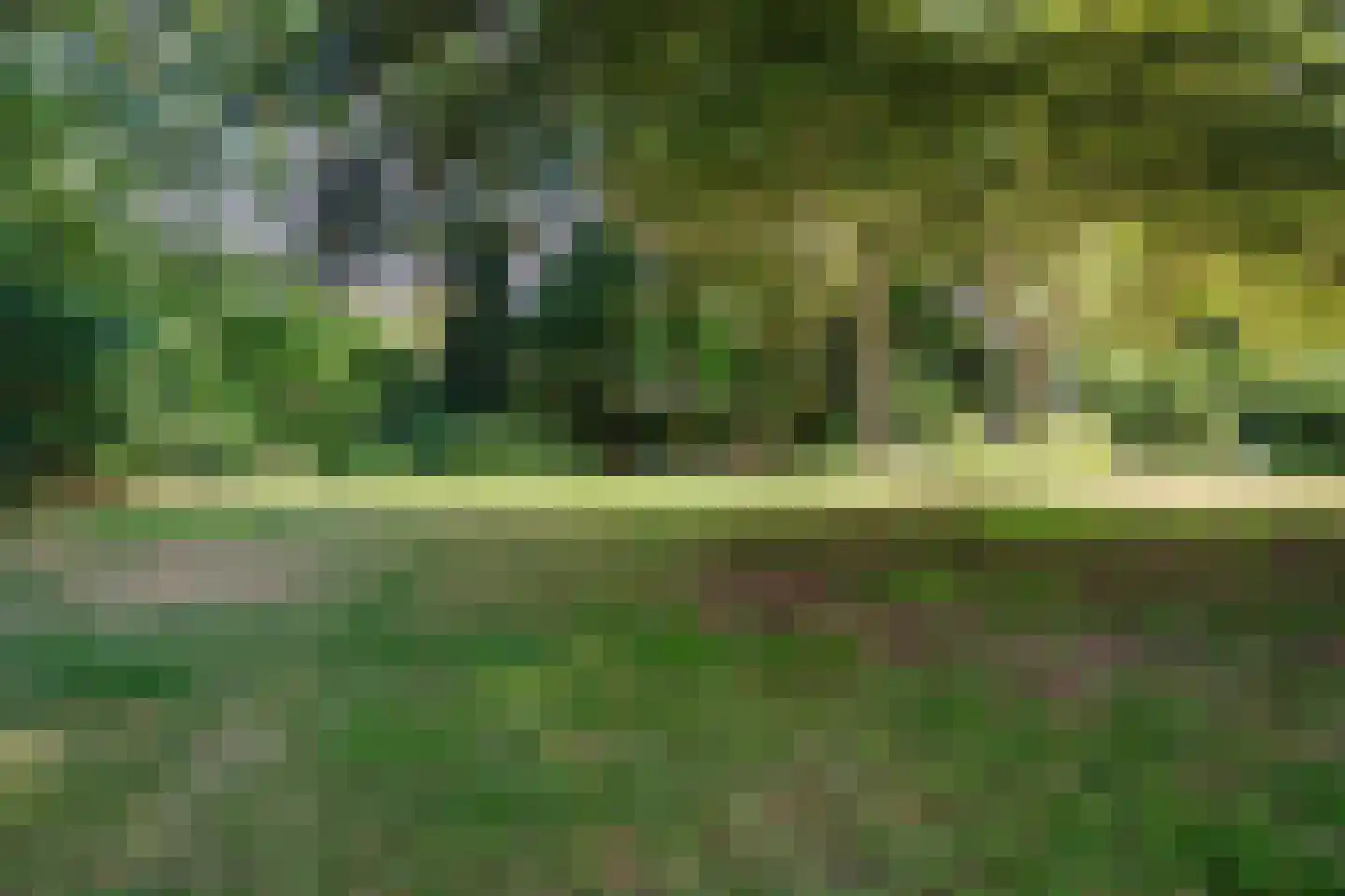 Kozakkenlaan 11 Warnsveld thumbnail 42