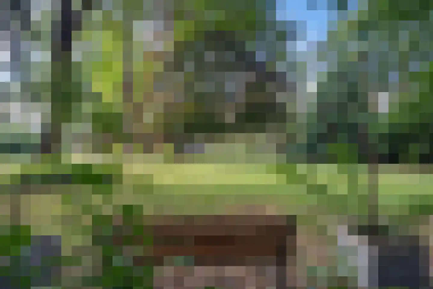 Kozakkenlaan 11 Warnsveld thumbnail 43
