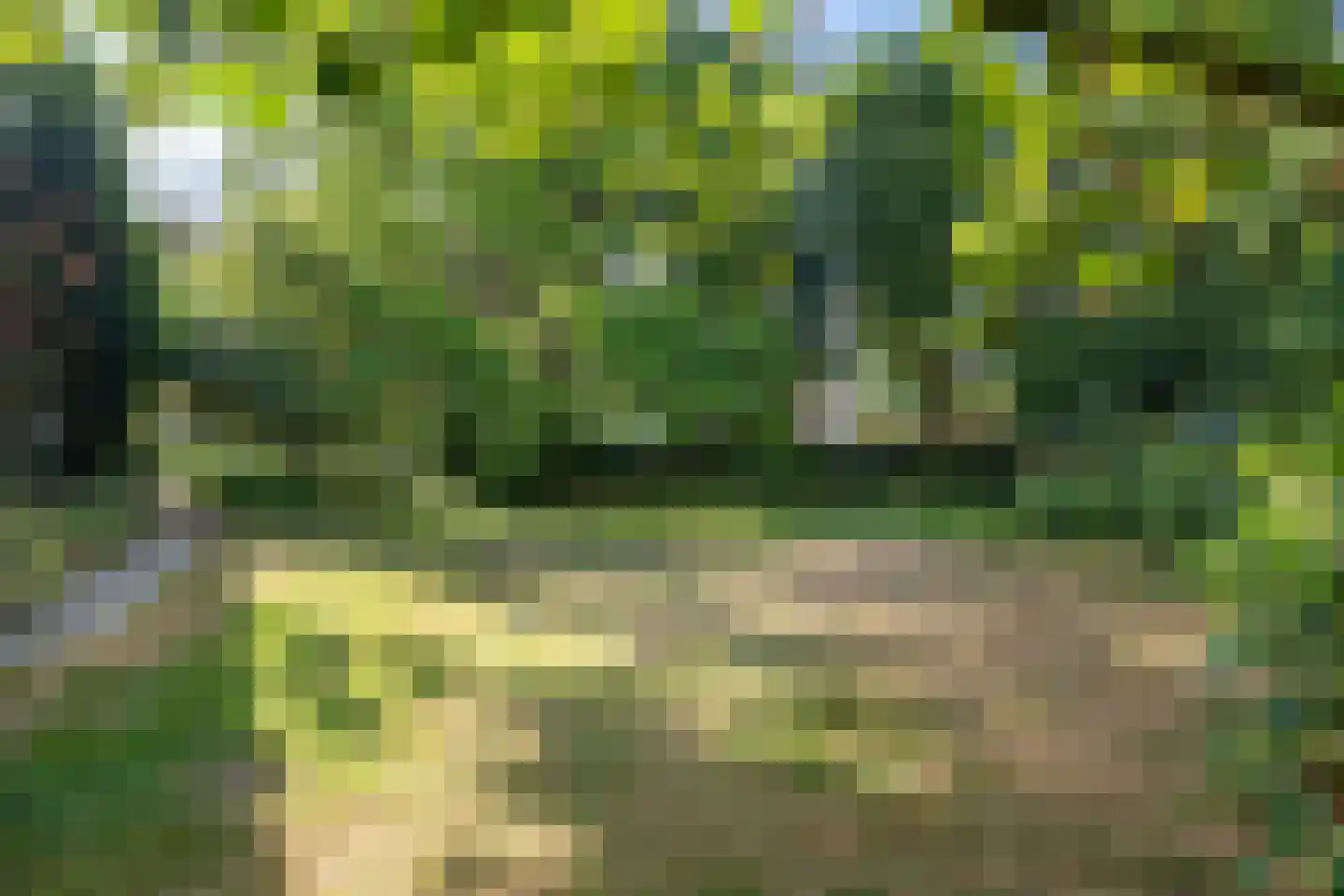 Kozakkenlaan 11 Warnsveld thumbnail 48