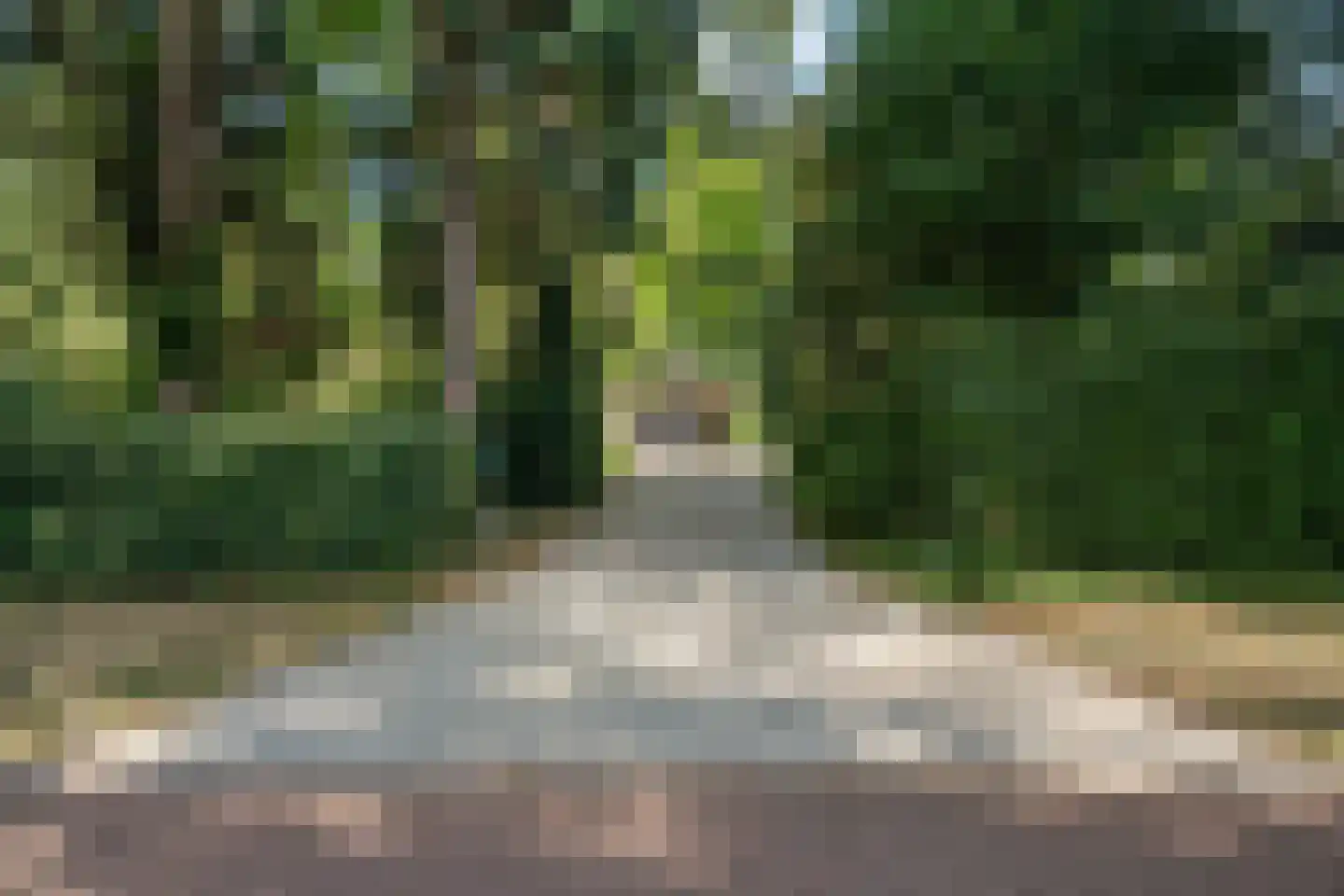 Kozakkenlaan 11 Warnsveld thumbnail 50