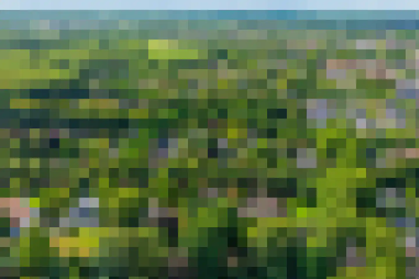 Kozakkenlaan 11 Warnsveld thumbnail 55