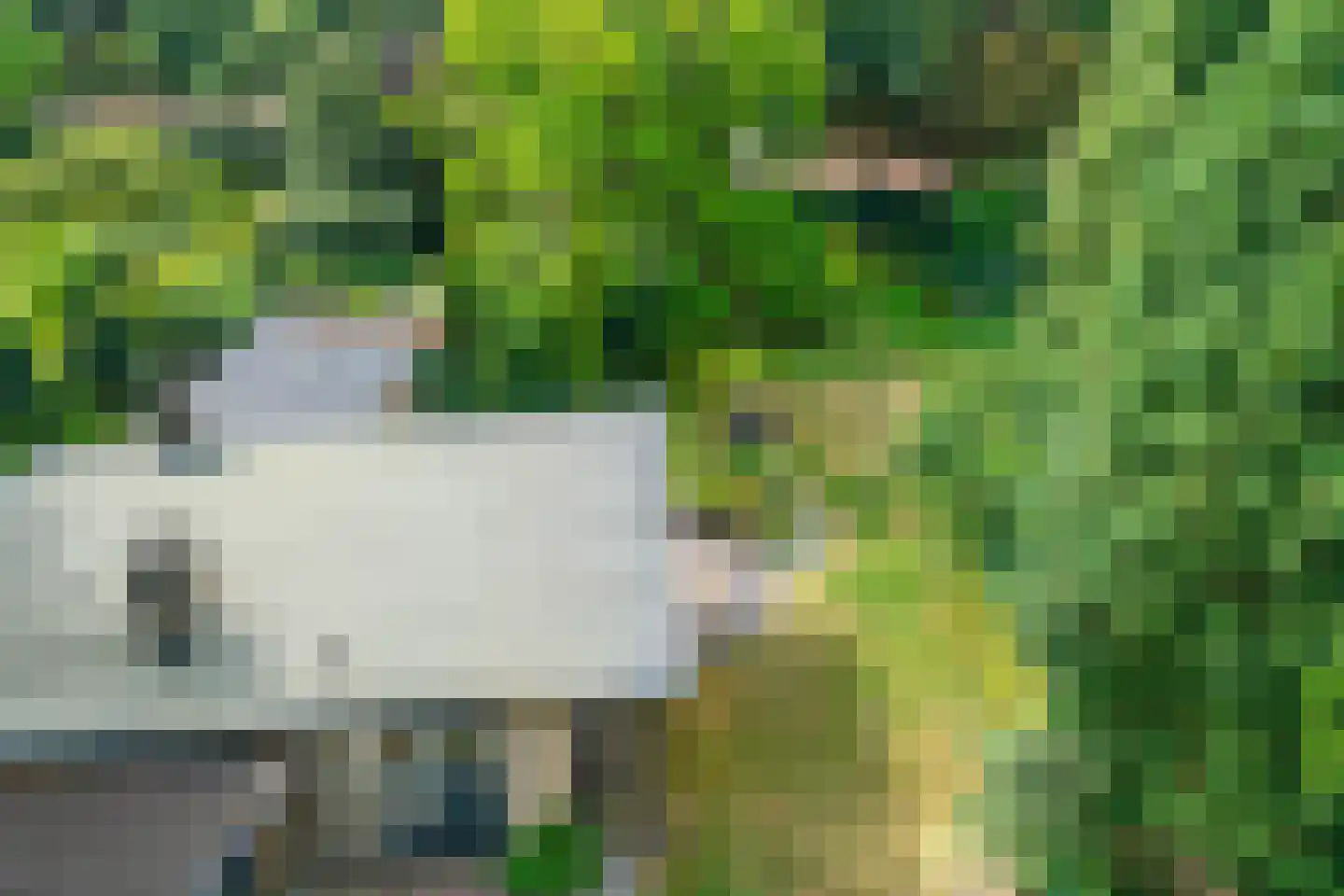 Kozakkenlaan 11 Warnsveld thumbnail 57