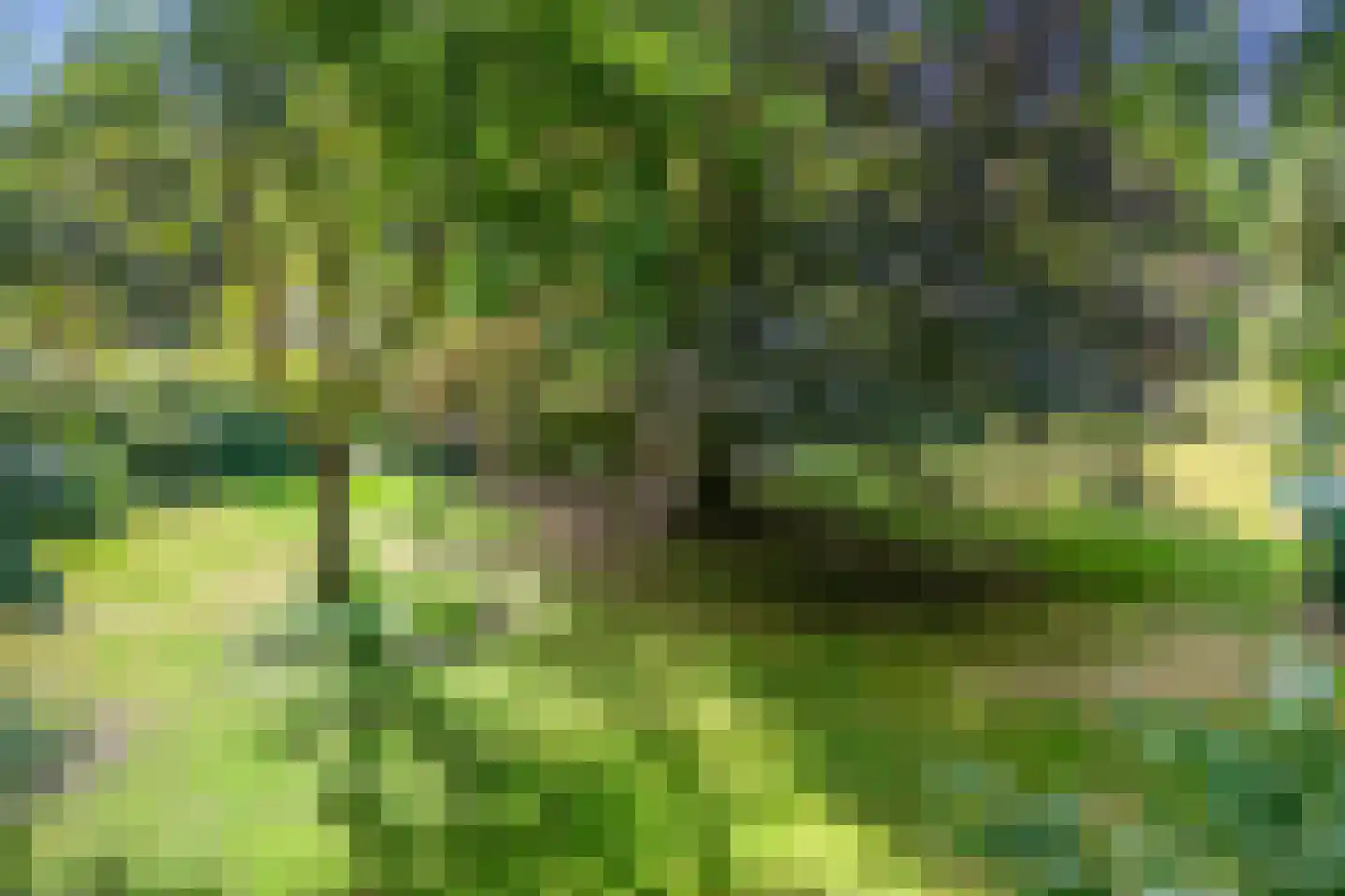 Kozakkenlaan 11 Warnsveld thumbnail 58