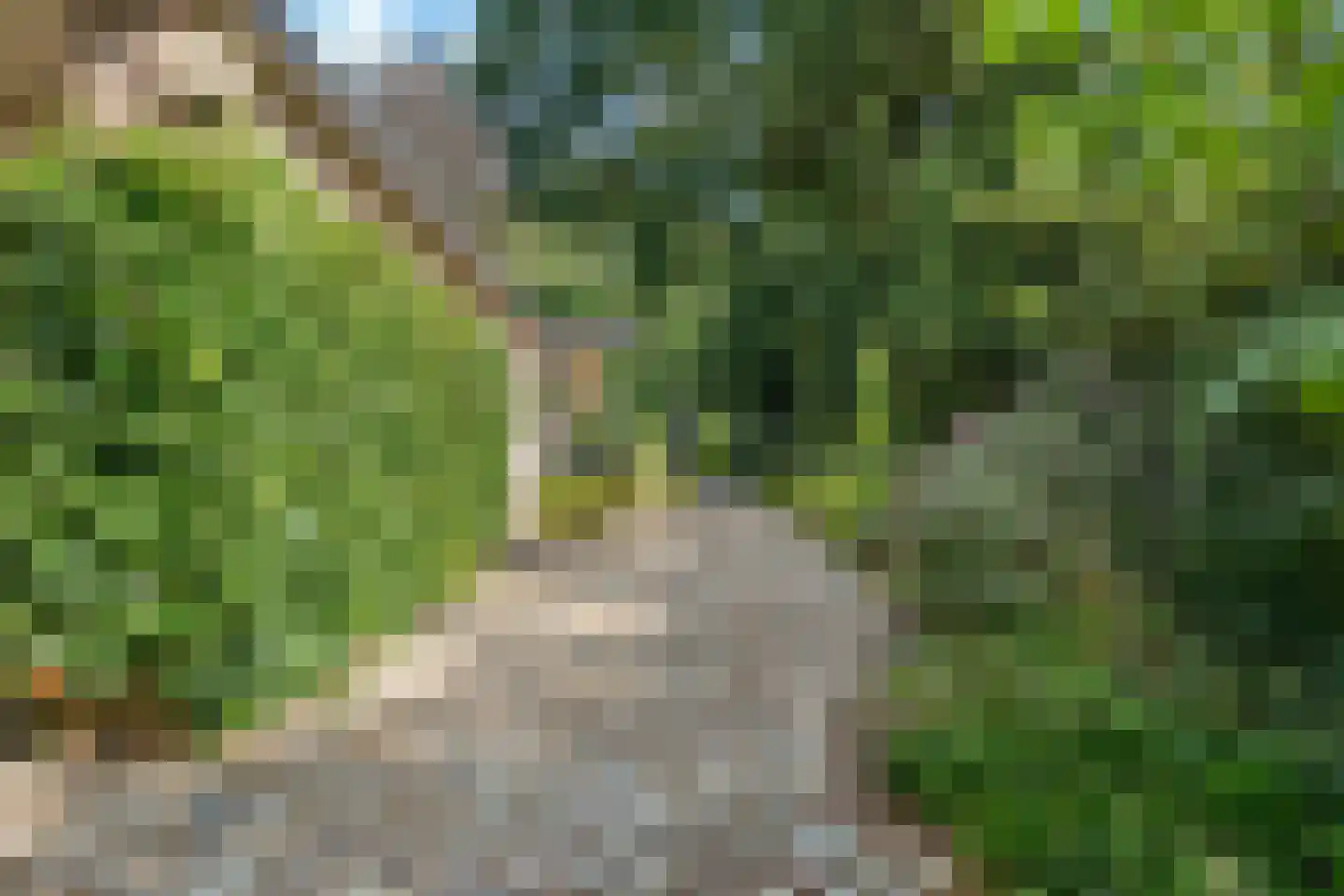 Kozakkenlaan 11 Warnsveld thumbnail 7