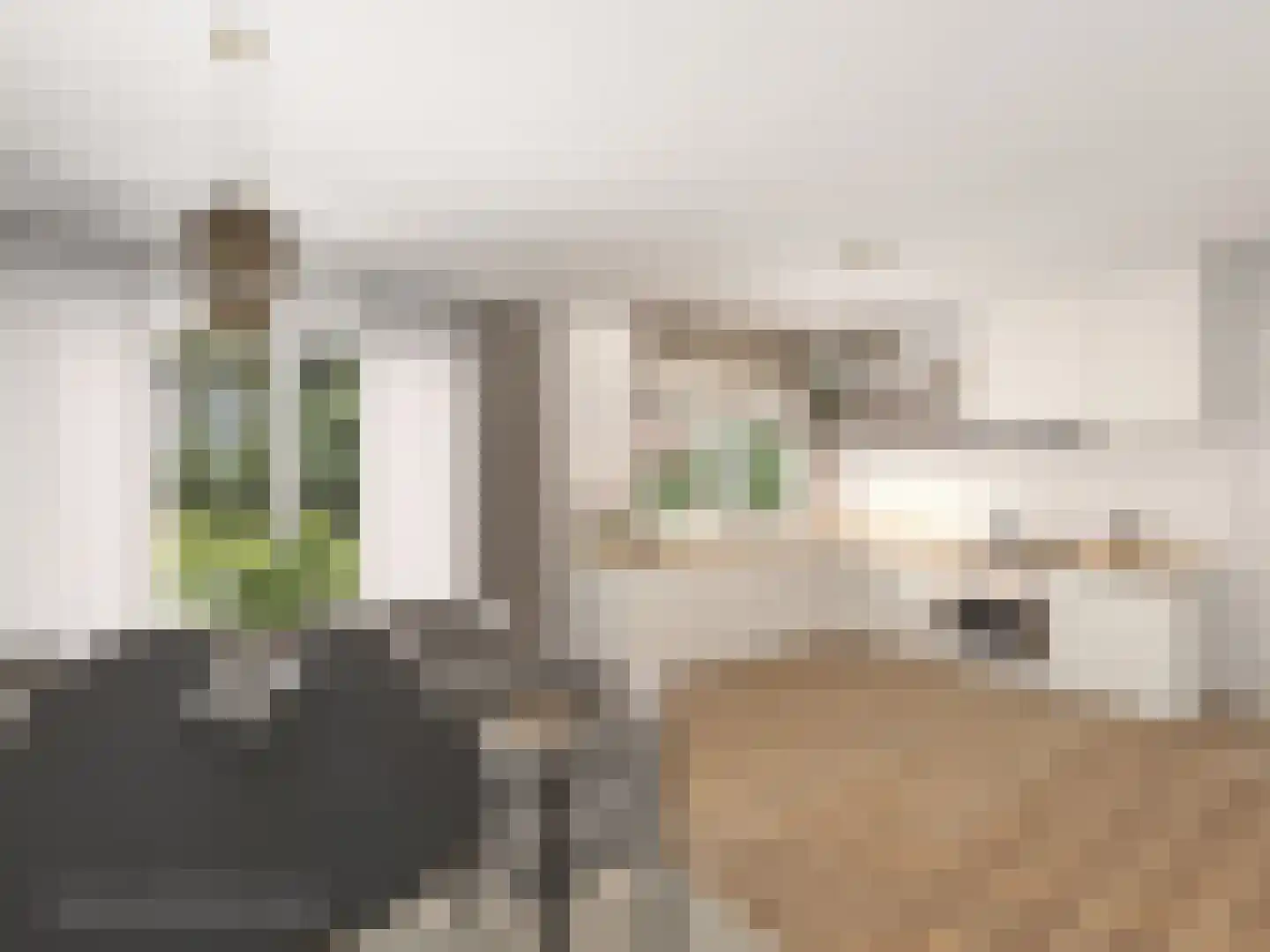 Kozakkenlaan 21 Warnsveld thumbnail 23