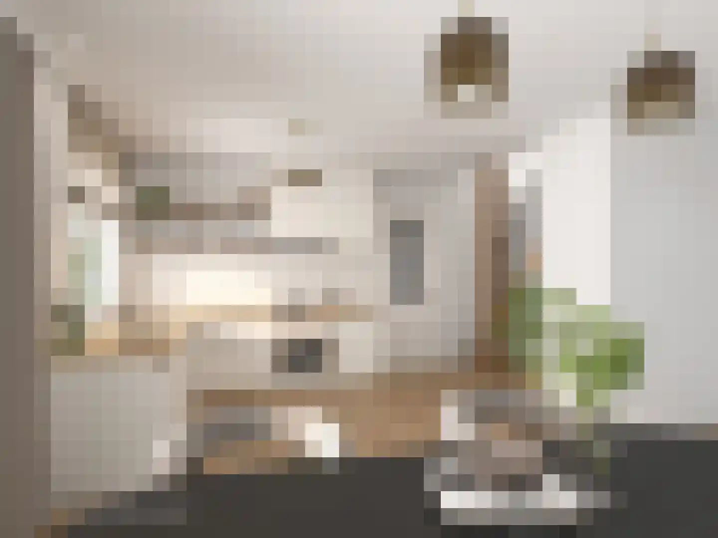 Kozakkenlaan 21 Warnsveld thumbnail 24