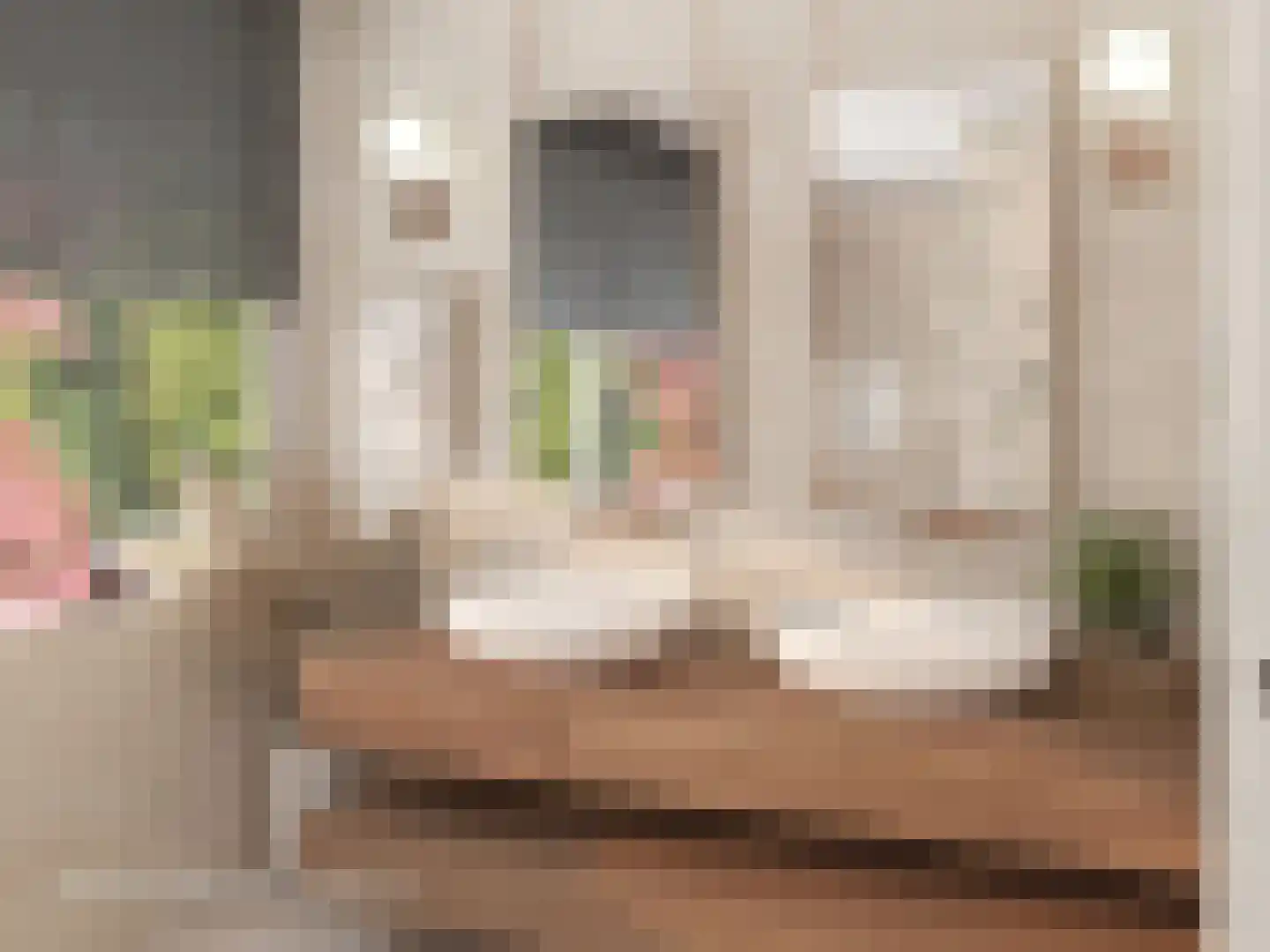 Kozakkenlaan 21 Warnsveld thumbnail 38