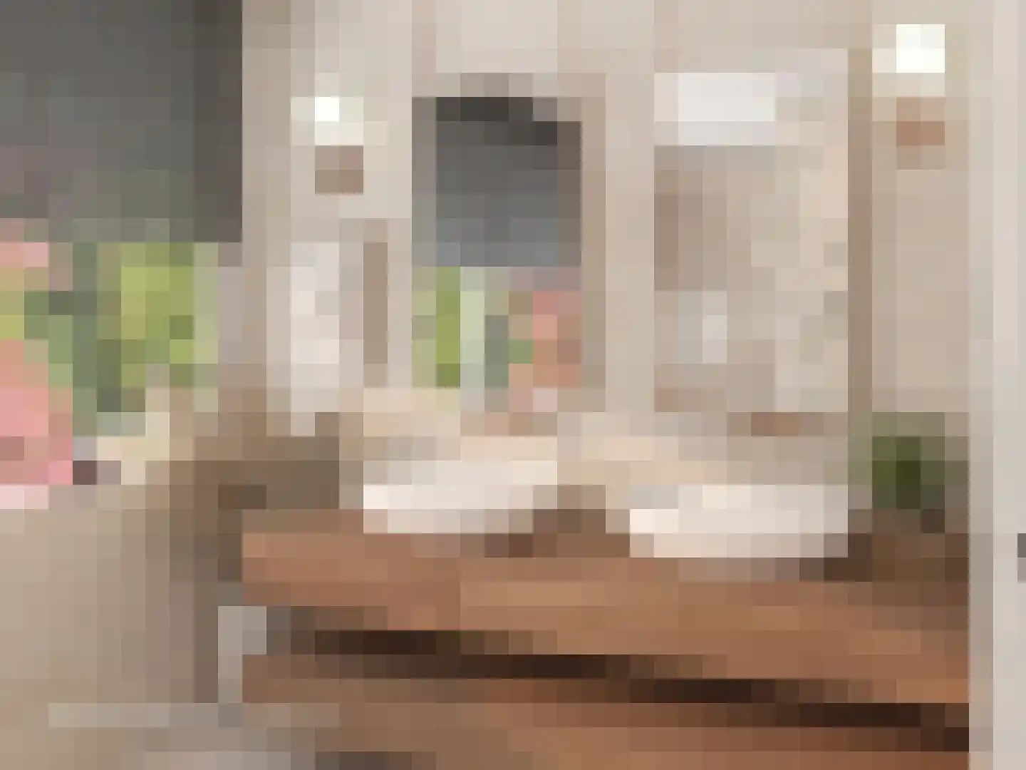 Kozakkenlaan 21 Warnsveld thumbnail 39