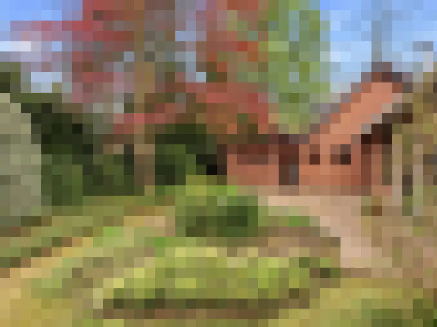 Kozakkenlaan 21 Warnsveld thumbnail 47