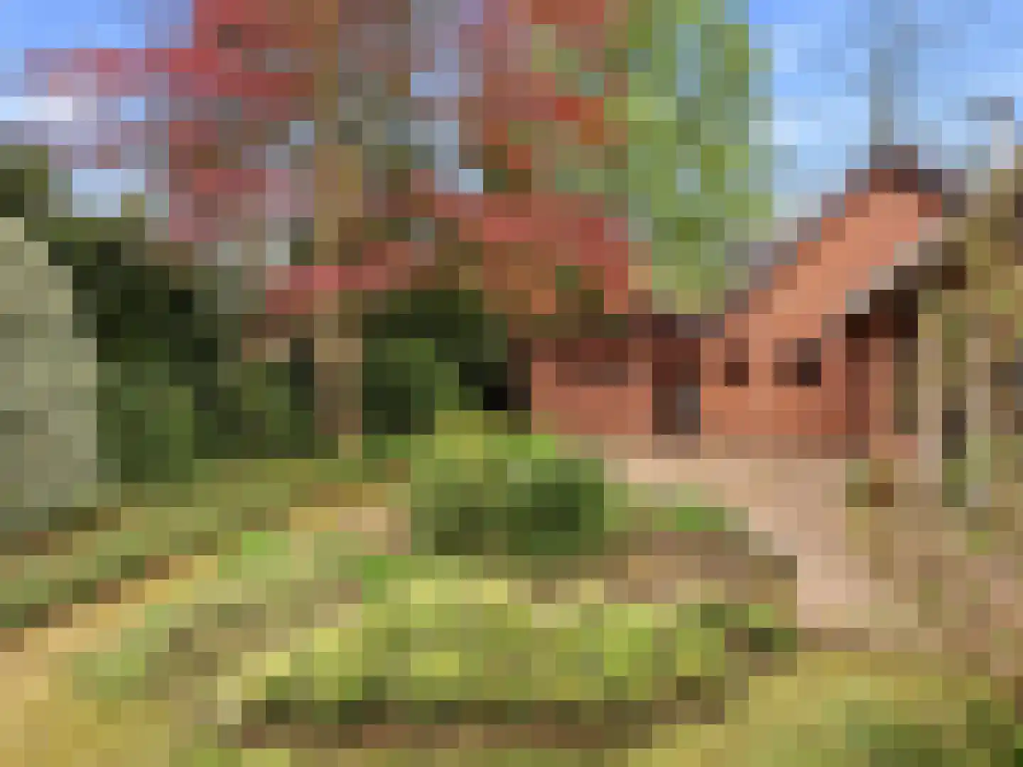Kozakkenlaan 21 Warnsveld thumbnail 48