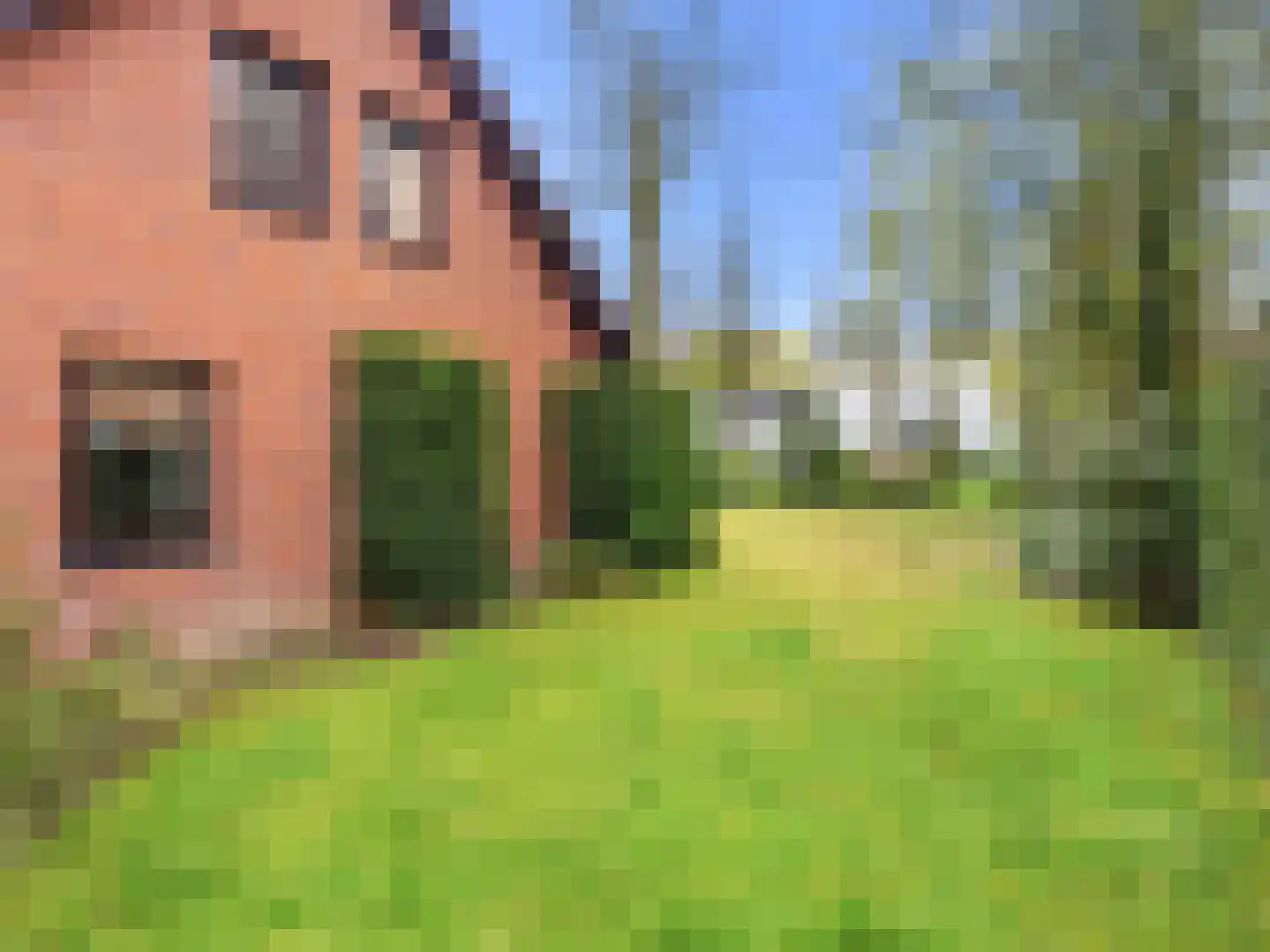 Kozakkenlaan 21 Warnsveld thumbnail 50