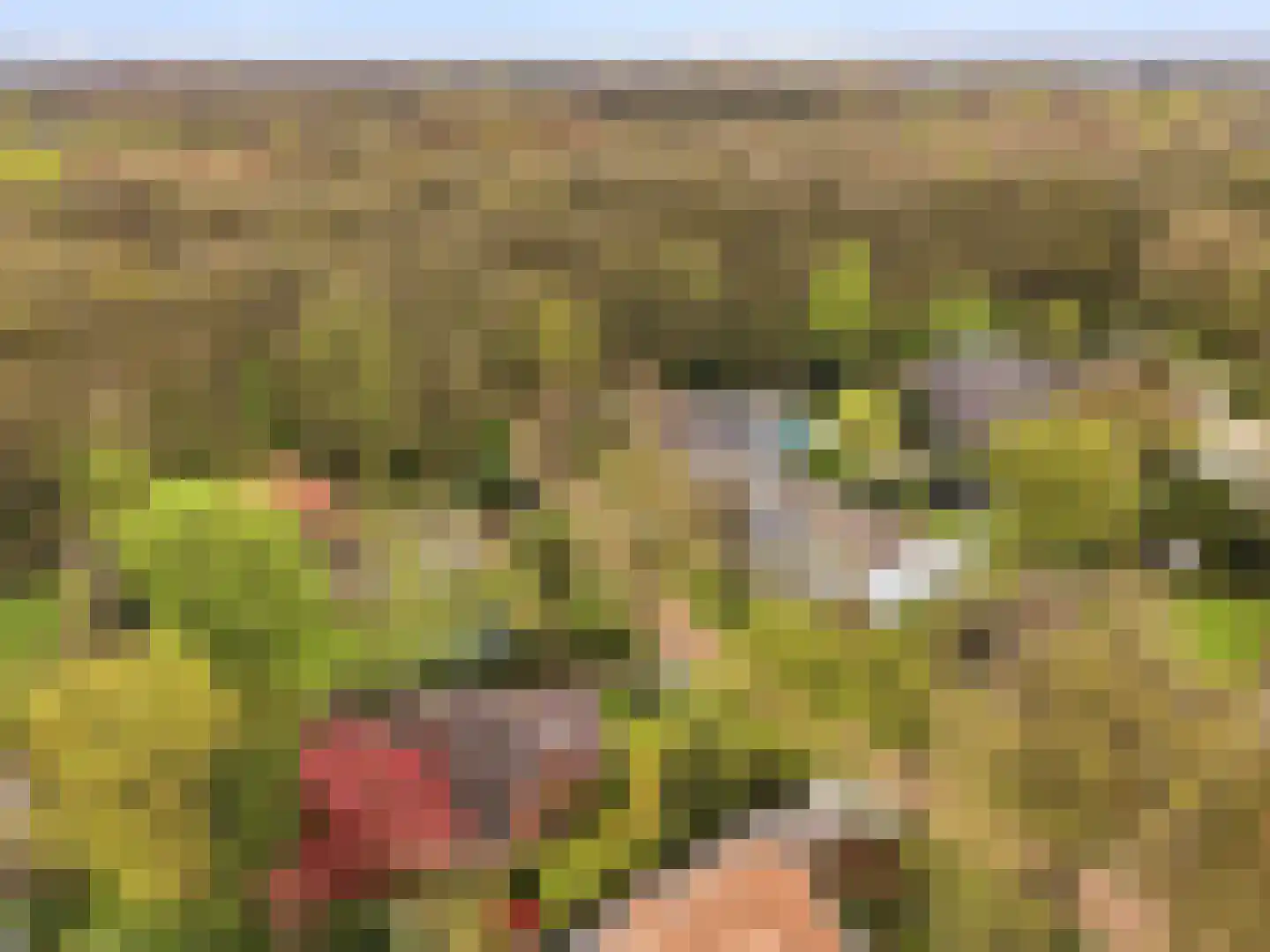 Kozakkenlaan 21 Warnsveld thumbnail 53