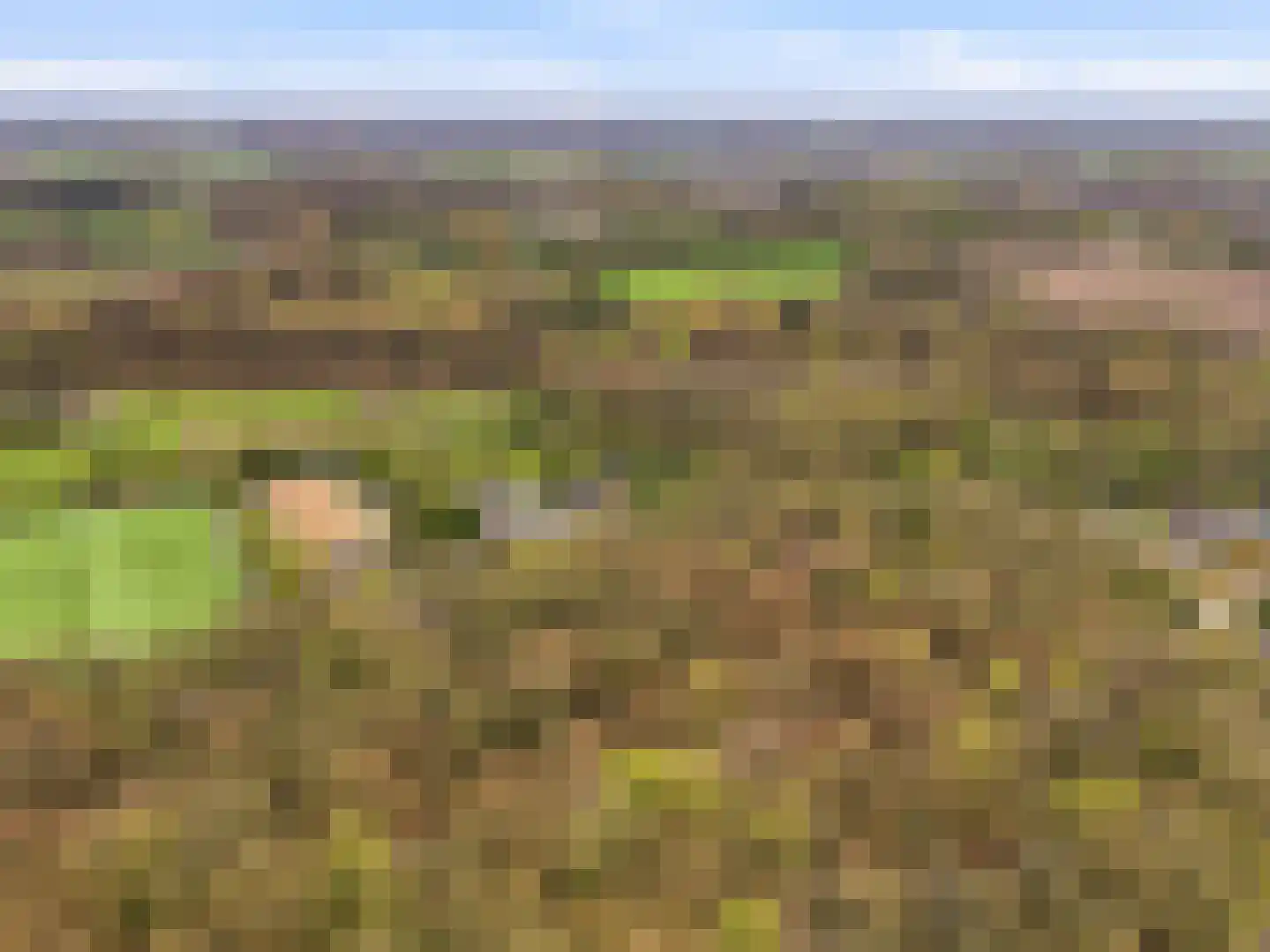 Kozakkenlaan 21 Warnsveld thumbnail 55