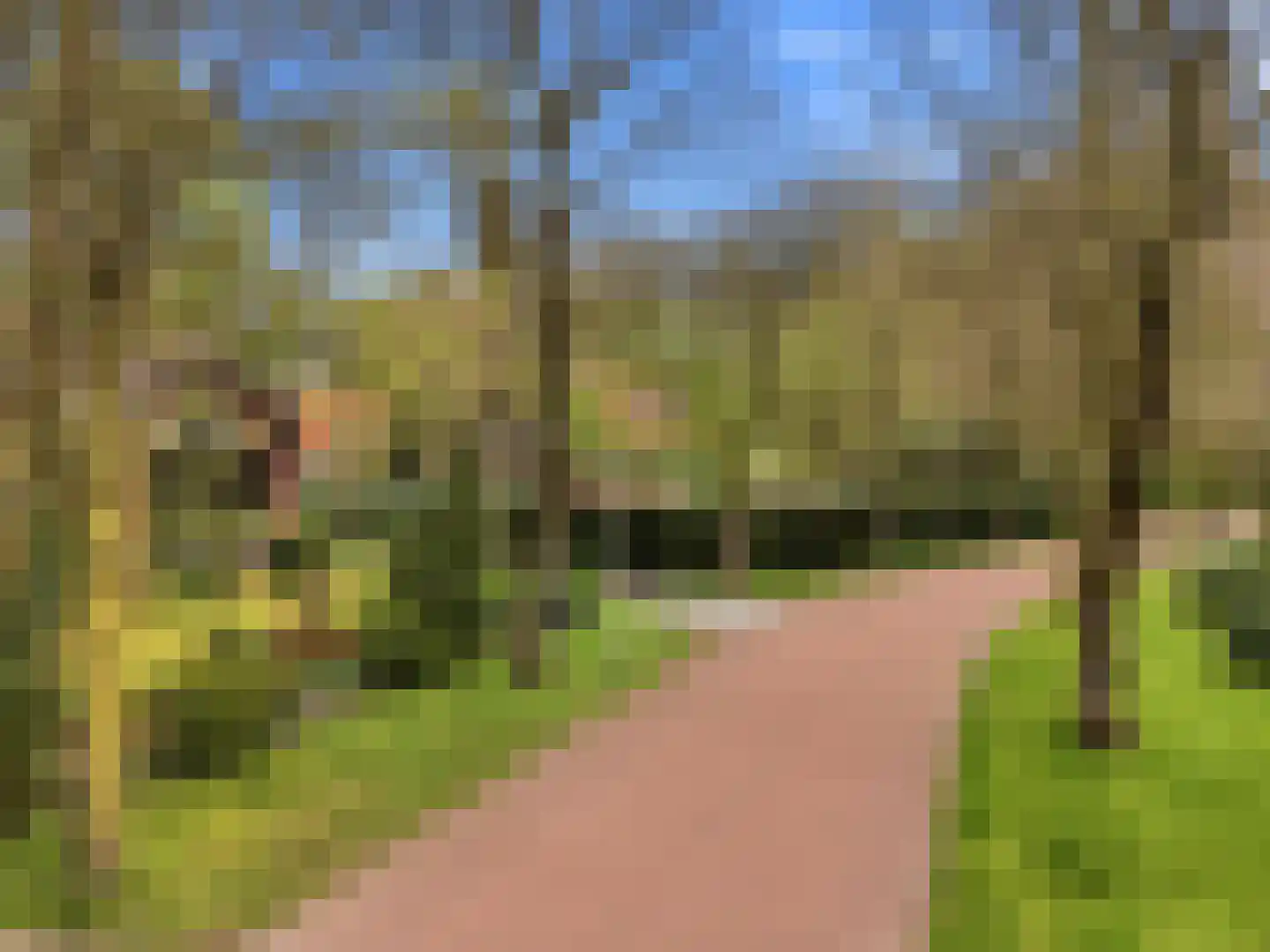 Kozakkenlaan 21 Warnsveld thumbnail 6