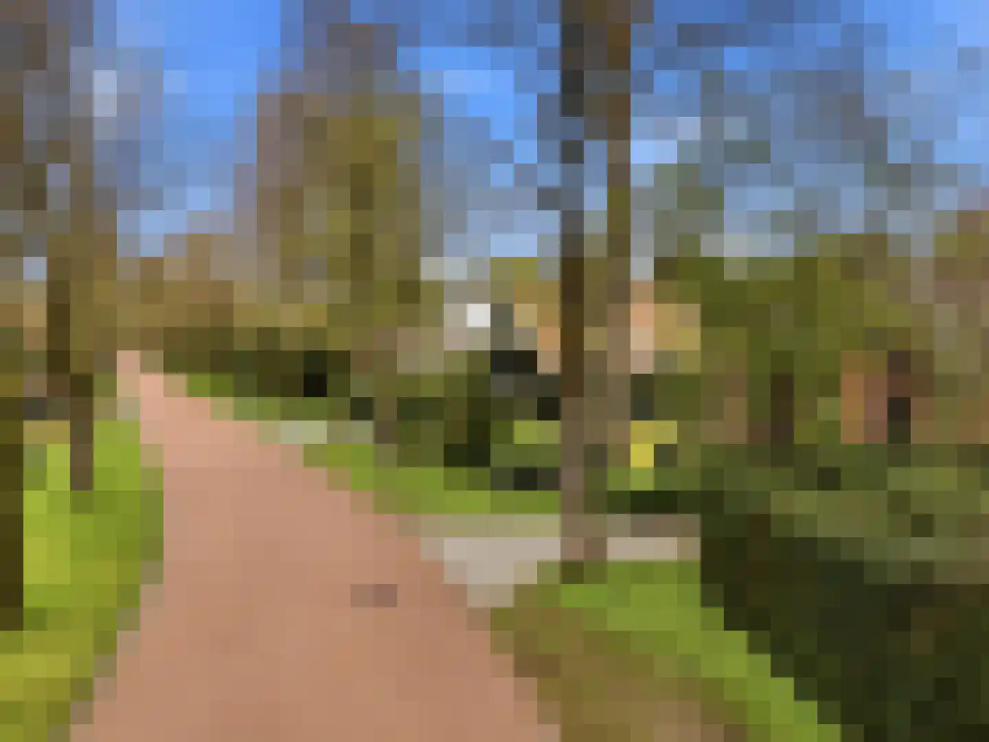 Kozakkenlaan 21 Warnsveld thumbnail 7