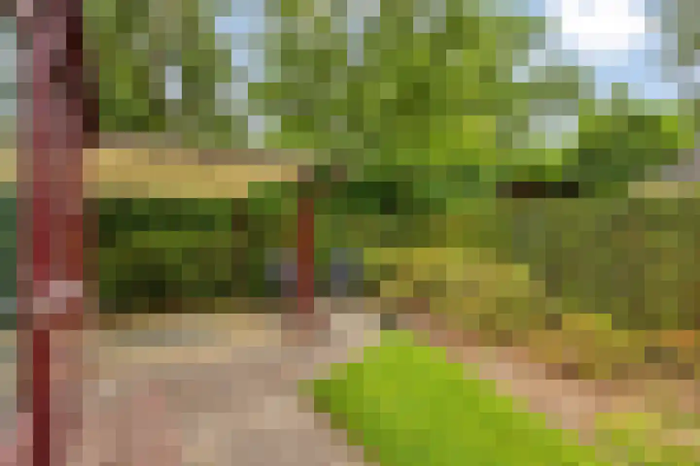 Kozakkenlaan 6 Warnsveld thumbnail 10
