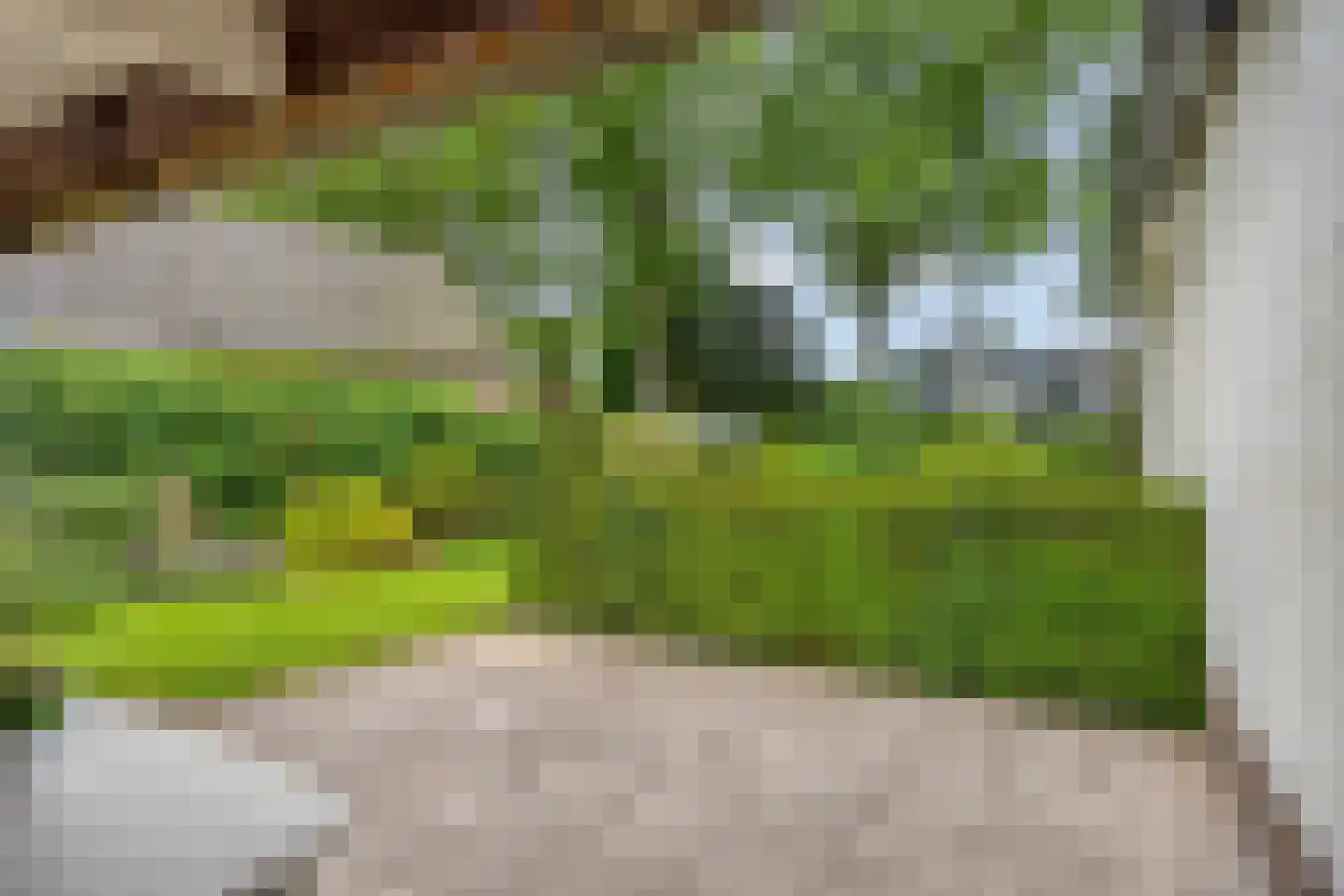 Kozakkenlaan 6 Warnsveld thumbnail 11