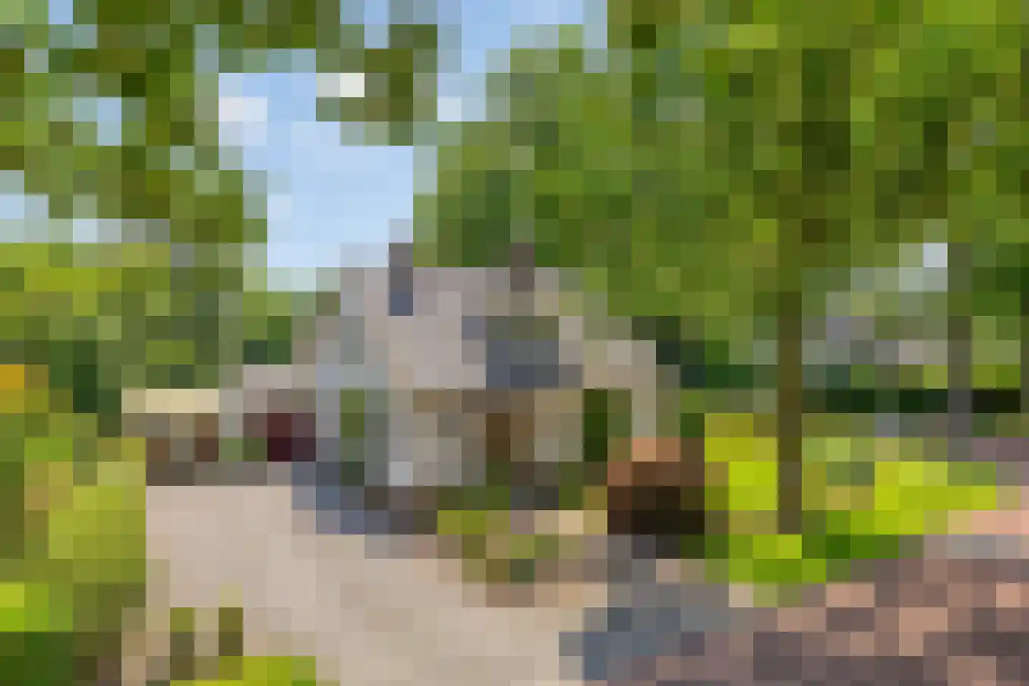 Kozakkenlaan 6 Warnsveld thumbnail 12